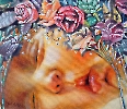 Sapnuojantis 2008/2022 30x35