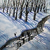 Laukimas IV 2026 Sold