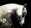 SAPNAS 2024 m./100x110 cm./Kaina sutartinė